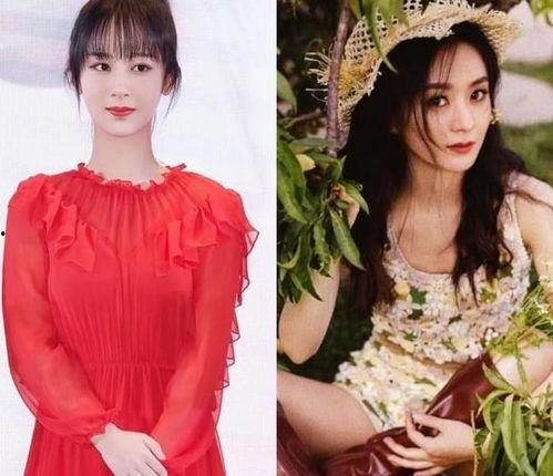 娱乐八卦爆料京圈格格,揭秘娱乐圈背后的神秘生活